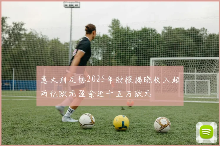 意大利足协2025年财报揭晓收入超两亿欧元盈余近十五万欧元