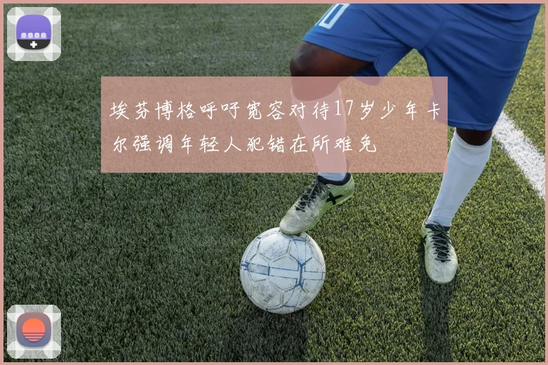 埃芬博格呼吁宽容对待17岁少年卡尔强调年轻人犯错在所难免